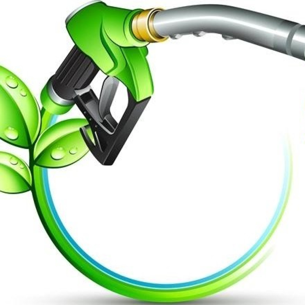 دو پروژه ملی برای توسعه تولید سوخت زیستی در کشور